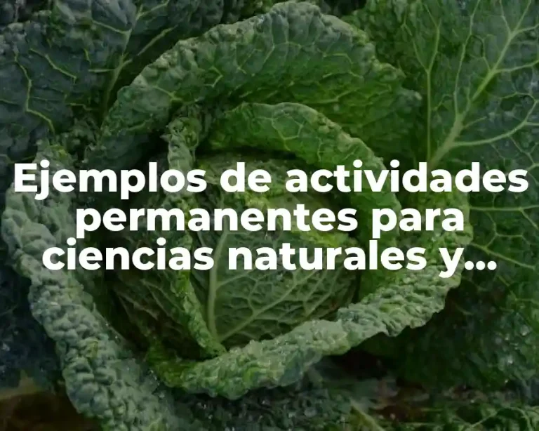 Ejemplos de actividades permanentes para ciencias naturales y Significado