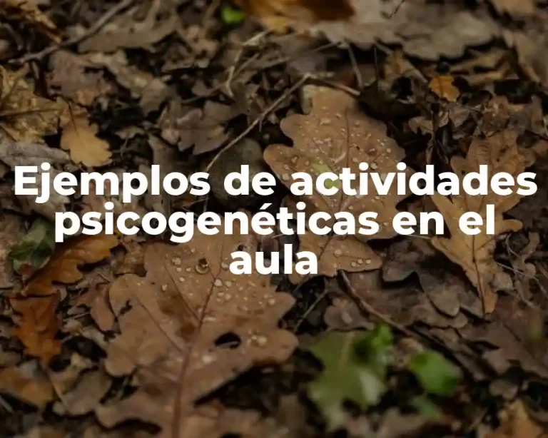 Ejemplos de actividades psicogenéticas en el aula