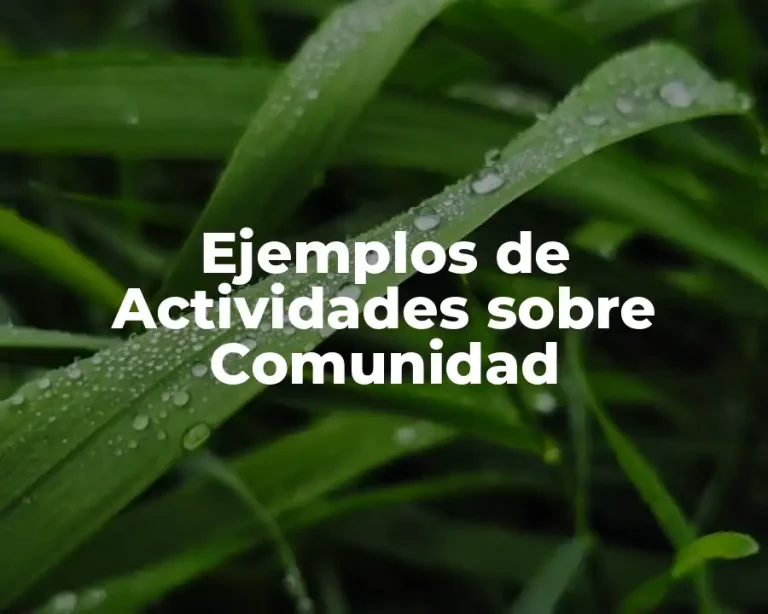 Ejemplos de Actividades sobre Comunidad