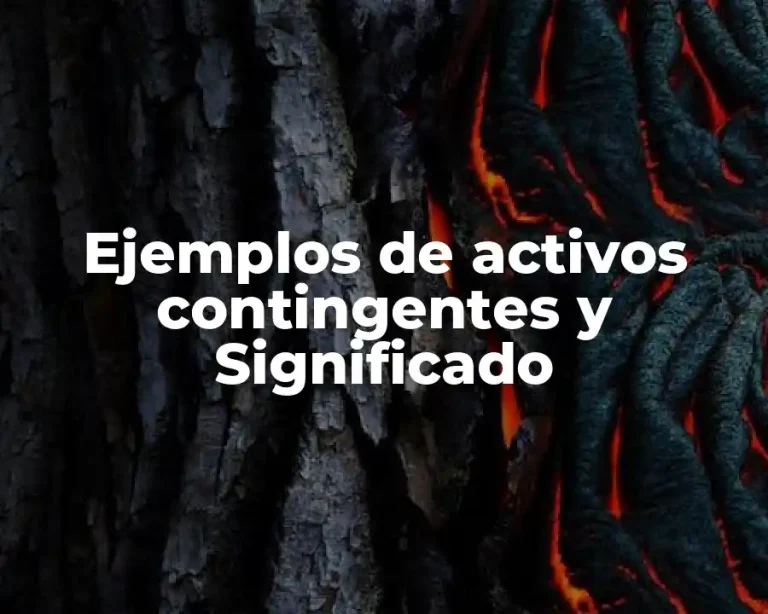 Ejemplos de activos contingentes y Significado