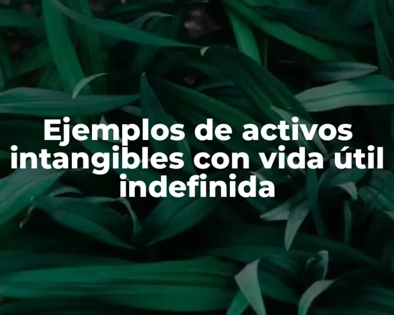 Ejemplos de activos intangibles con vida útil indefinida