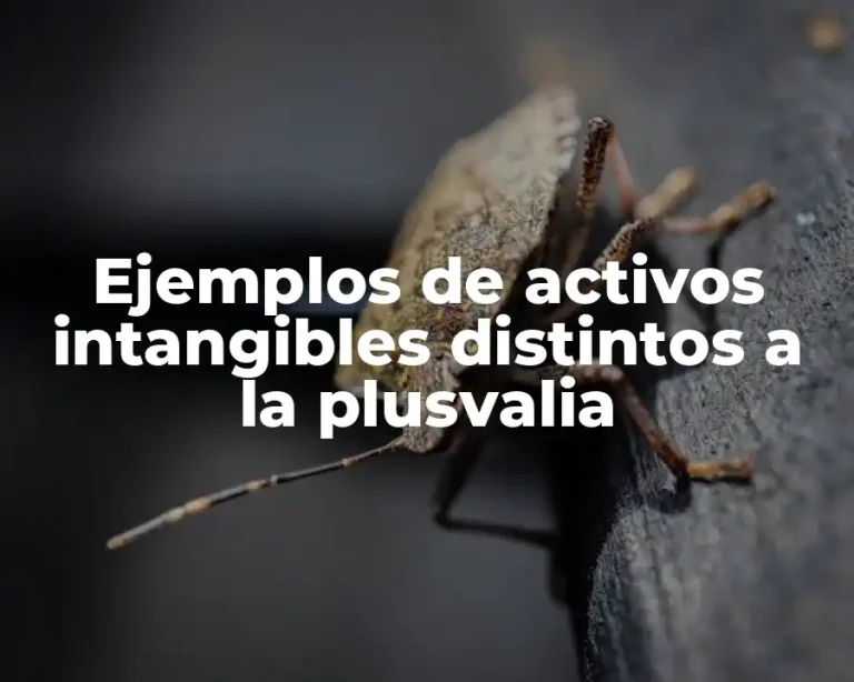 Ejemplos de activos intangibles distintos a la plusvalia