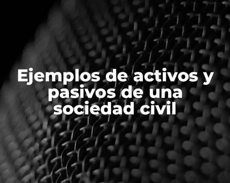 Ejemplos de activos y pasivos de una sociedad civil