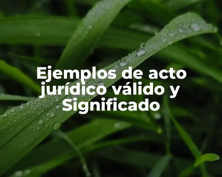 Ejemplos de acto jurídico válido y Significado