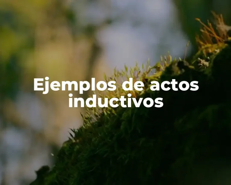 Ejemplos de actos inductivos