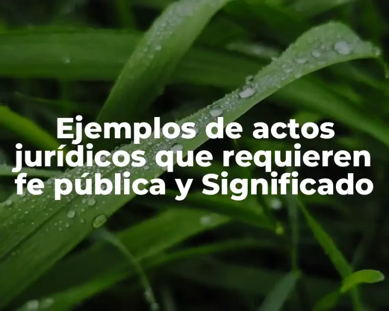 Ejemplos de actos jurídicos que requieren fe pública y Significado