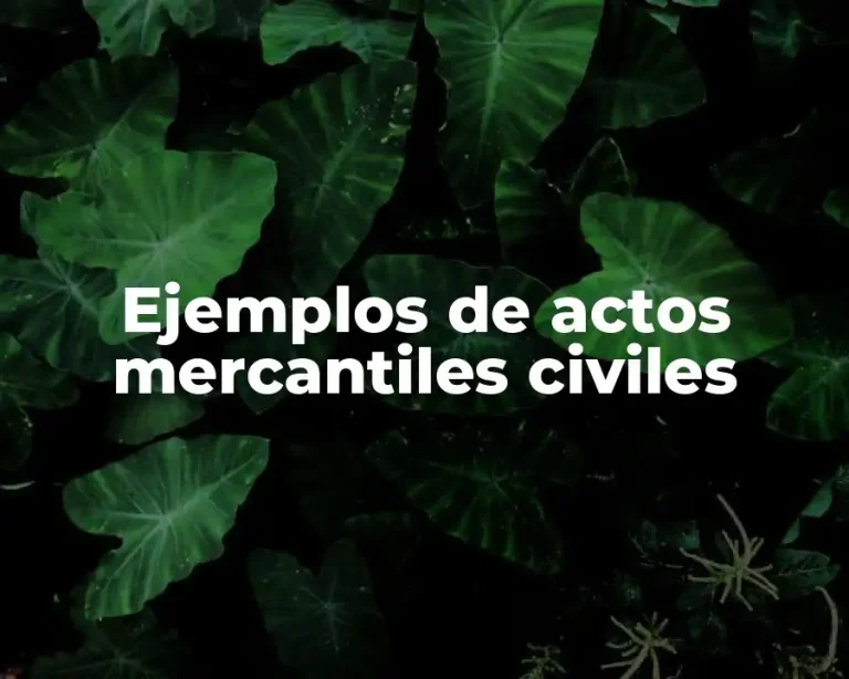Ejemplos de actos mercantiles civiles
