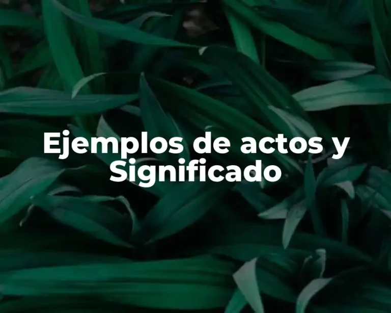 Ejemplos de actos y Significado