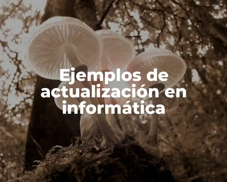 Ejemplos de actualización en informática