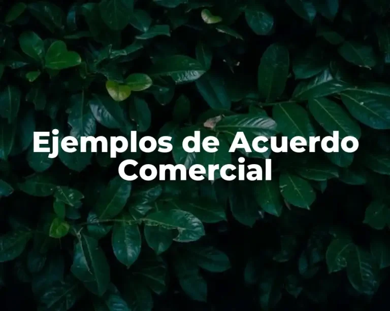 Ejemplos de Acuerdo Comercial