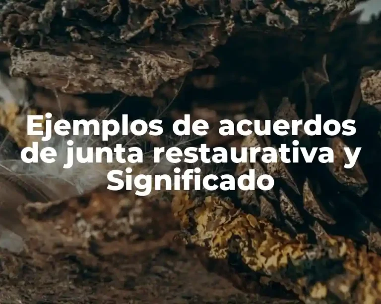 Ejemplos de acuerdos de junta restaurativa y Significado