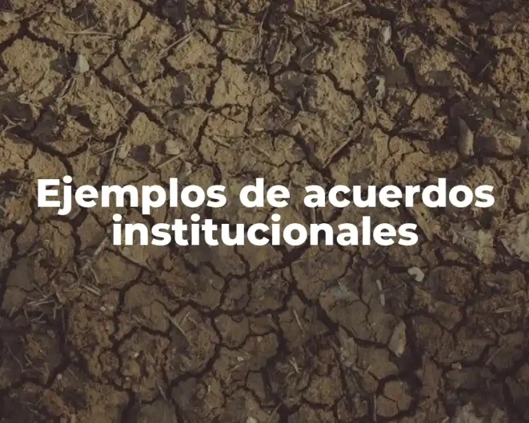 Ejemplos de acuerdos institucionales