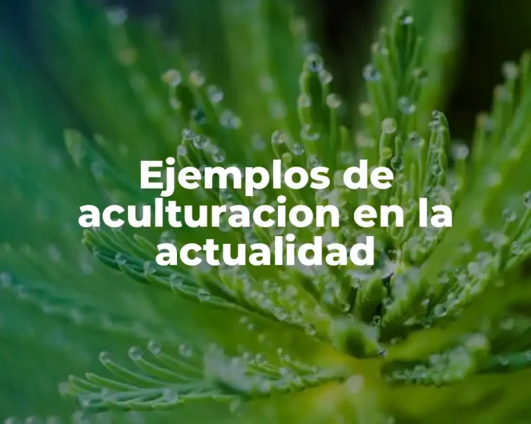 Ejemplos de aculturacion en la actualidad