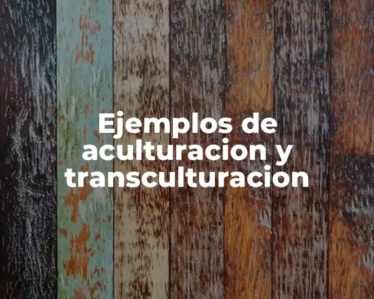 Ejemplos de aculturacion y transculturacion