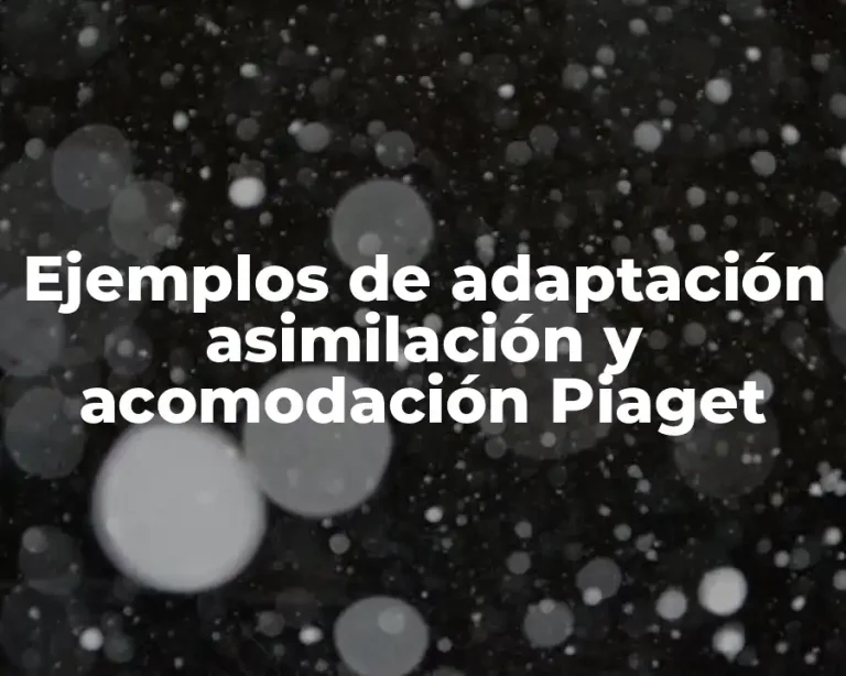Ejemplos de adaptación asimilación y acomodación Piaget
