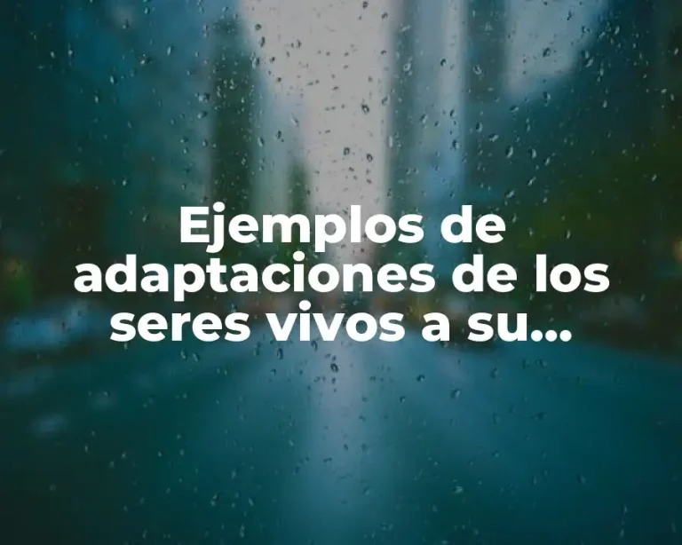 Ejemplos de adaptaciones de los seres vivos a su ambiente