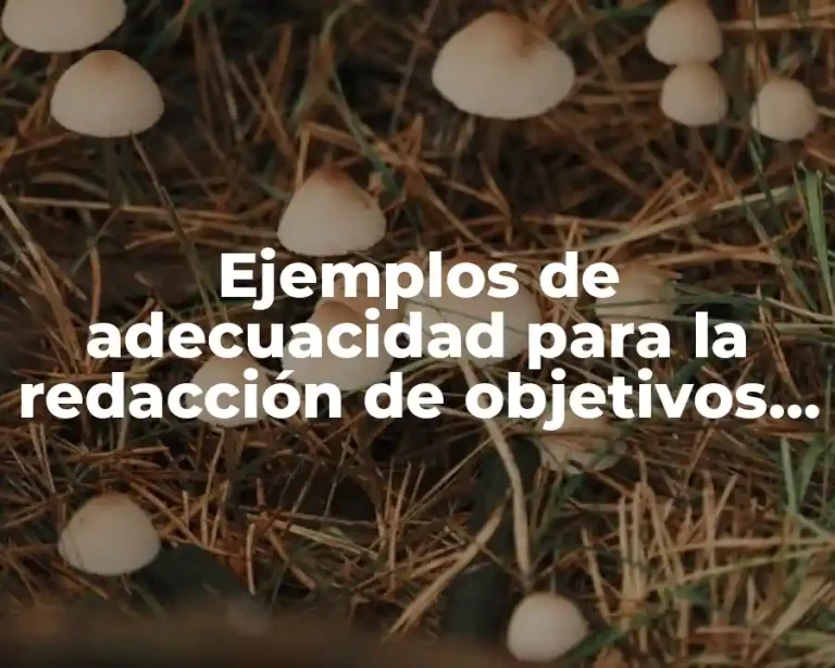 Ejemplos de adecuacidad para la redacción de objetivos de enseñanza
