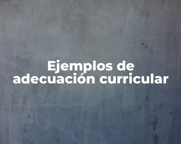 Ejemplos de adecuación curricular