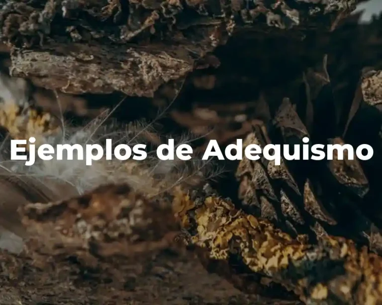 Ejemplos de Adequismo