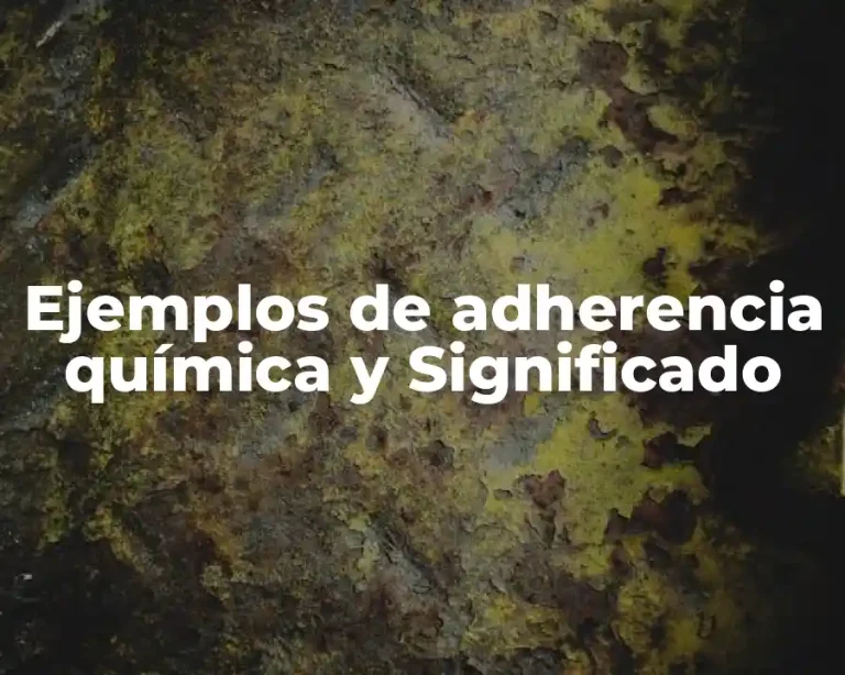 Ejemplos de adherencia química y Significado