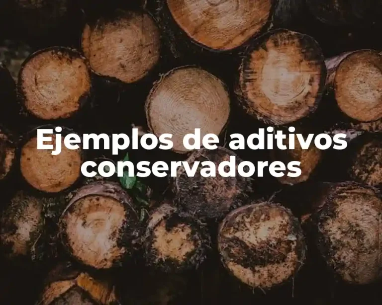 Ejemplos de aditivos conservadores