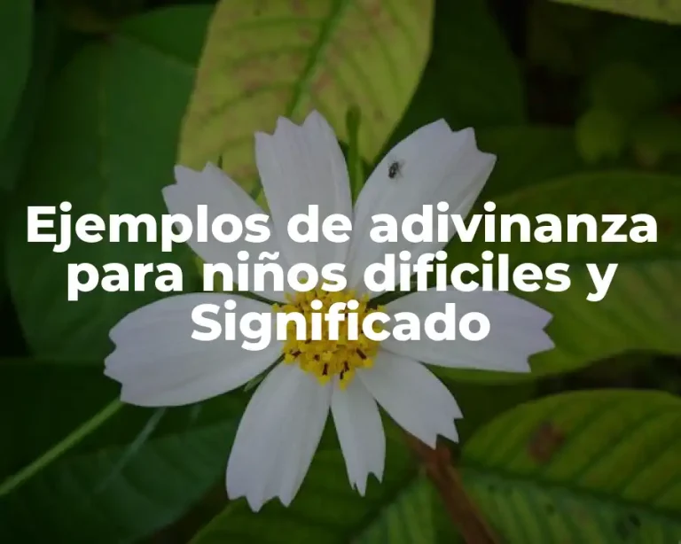 Ejemplos de adivinanza para niños dificiles y Significado