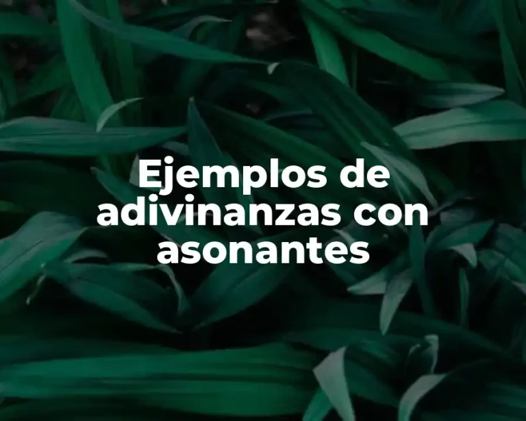 Ejemplos de adivinanzas con asonantes