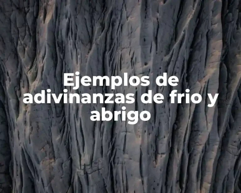 Ejemplos de adivinanzas de frio y abrigo