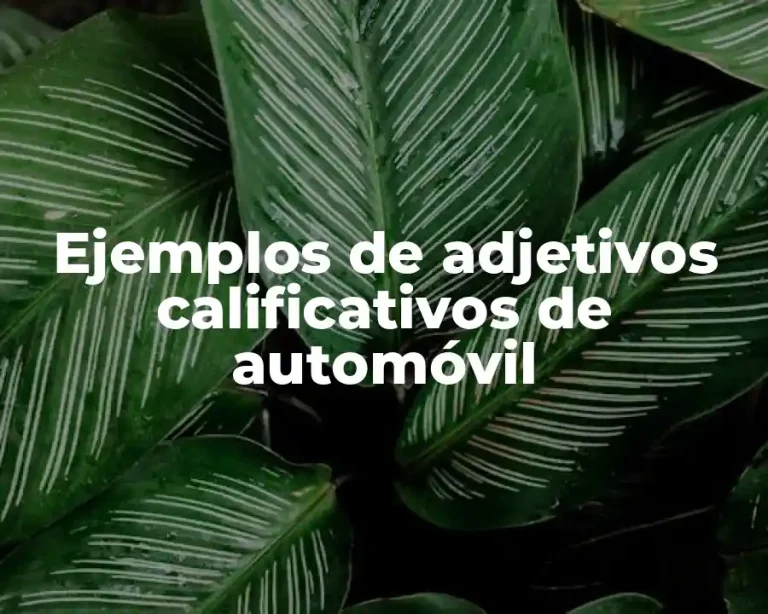 Ejemplos de adjetivos calificativos de automóvil