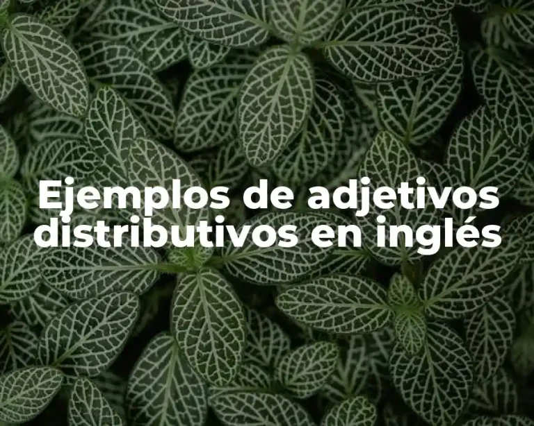 Ejemplos de adjetivos distributivos en inglés