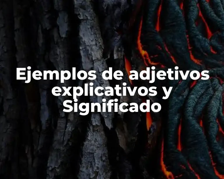 Ejemplos de adjetivos explicativos y Significado