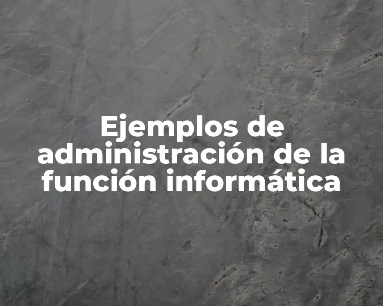 Ejemplos de administración de la función informática