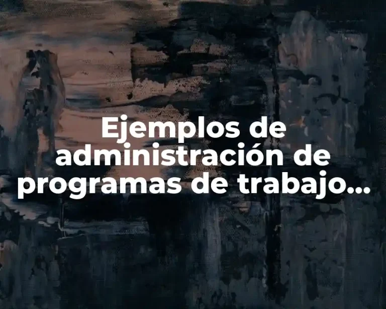 Ejemplos de administración de programas de trabajo social