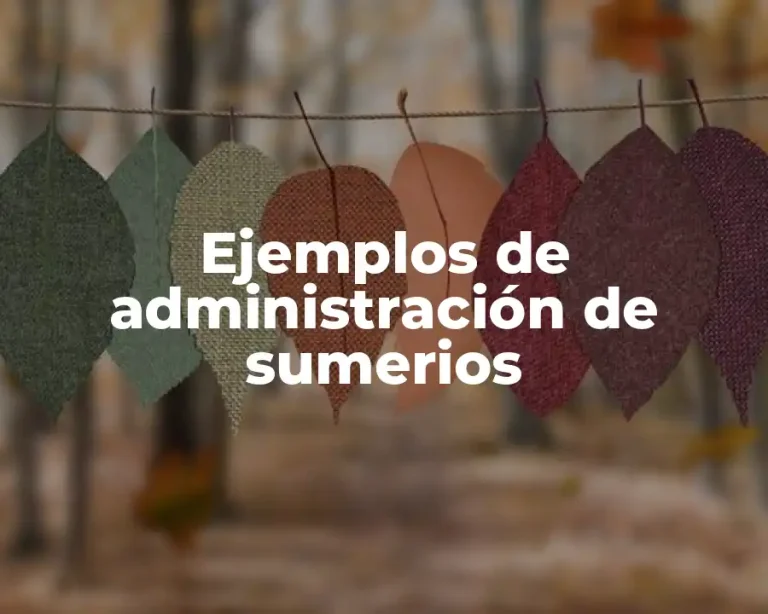 Ejemplos de administración de sumerios