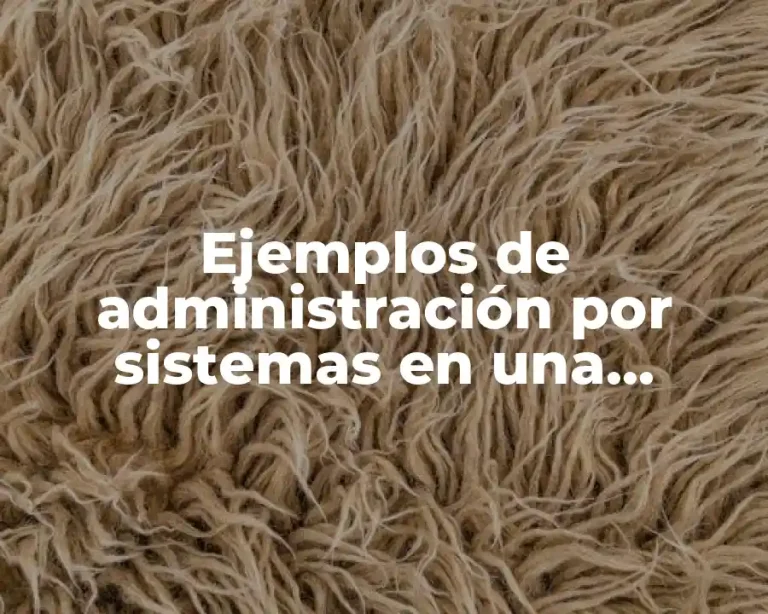 Ejemplos de administración por sistemas en una empresa