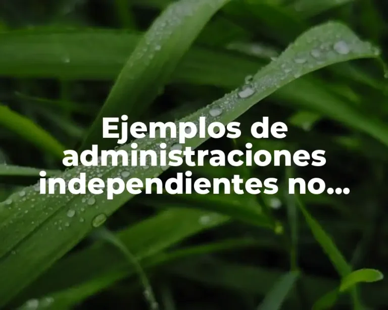 Ejemplos de administraciones independientes no previstas en la