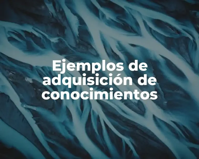 Ejemplos de adquisición de conocimientos