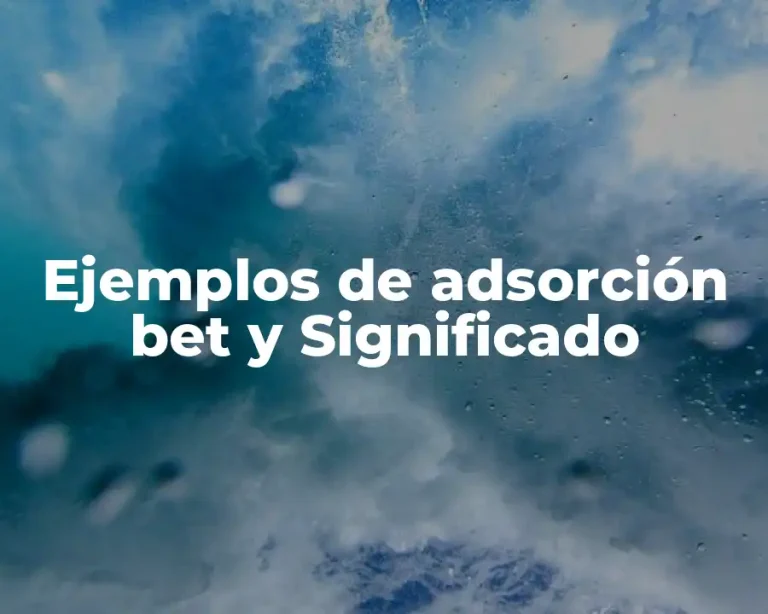 Ejemplos de adsorción bet y Significado