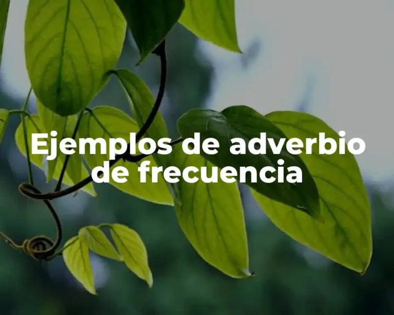 Ejemplos de adverbio de frecuencia