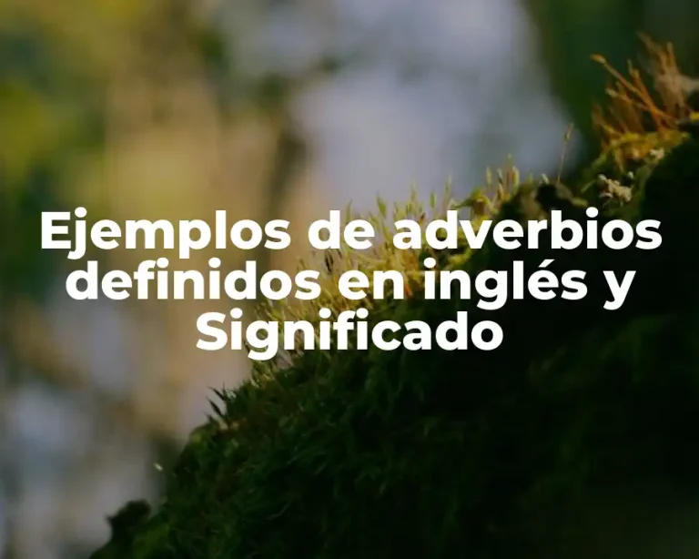 Ejemplos de adverbios definidos en inglés y Significado