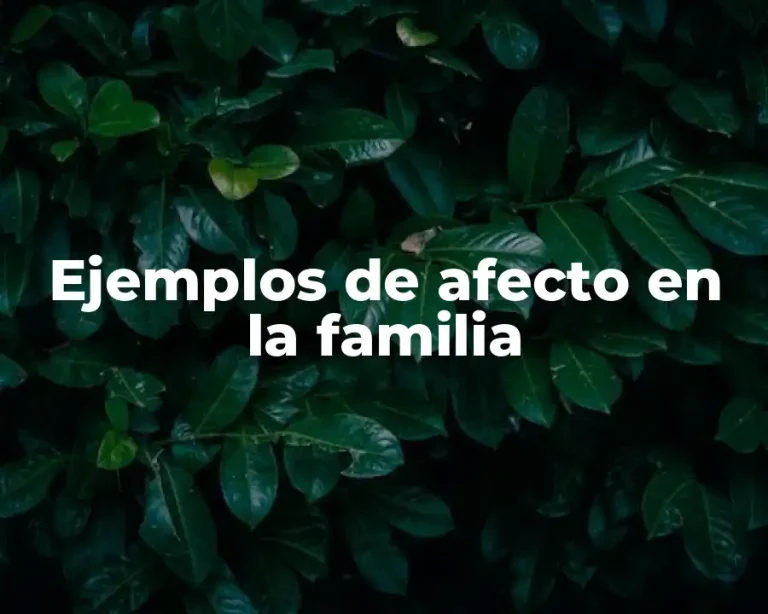 Ejemplos de afecto en la familia