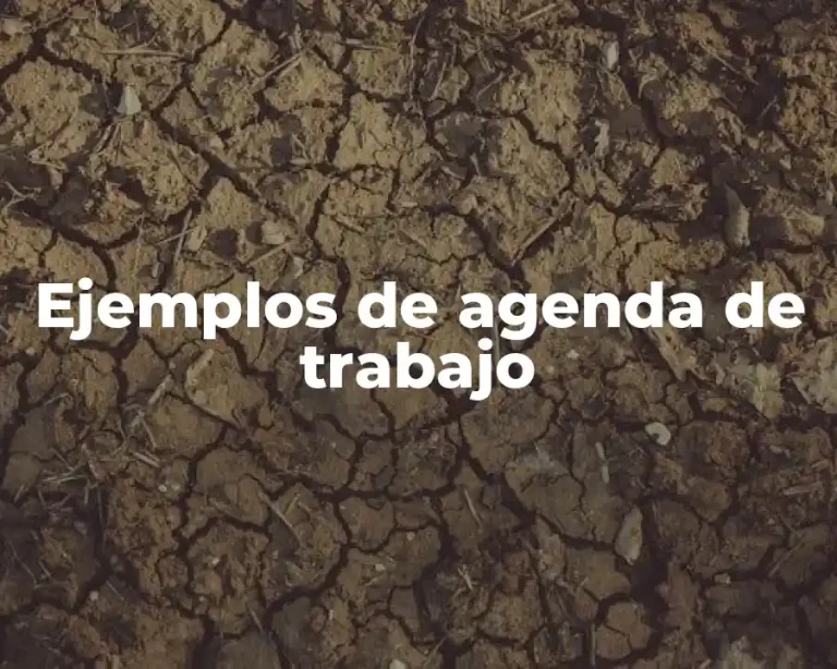 Ejemplos de agenda de trabajo