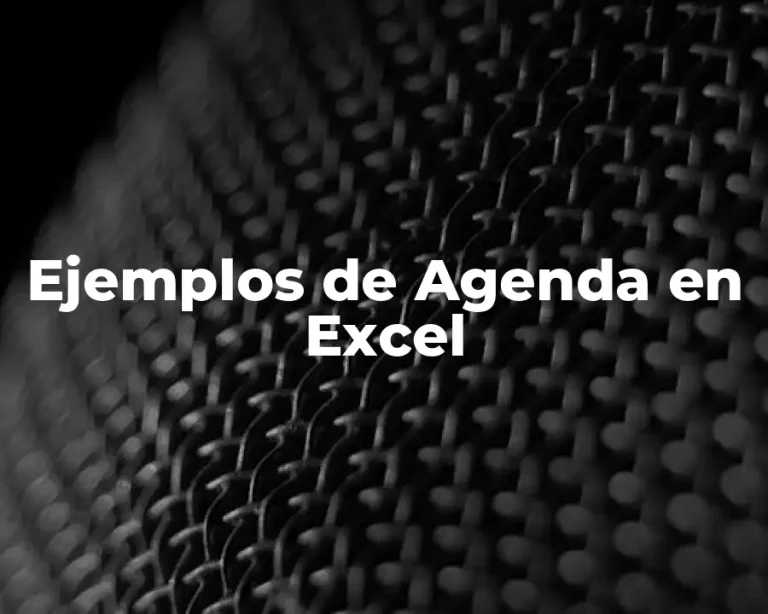 Ejemplos de Agenda en Excel