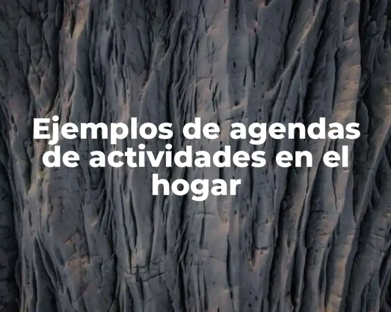 Ejemplos de agendas de actividades en el hogar
