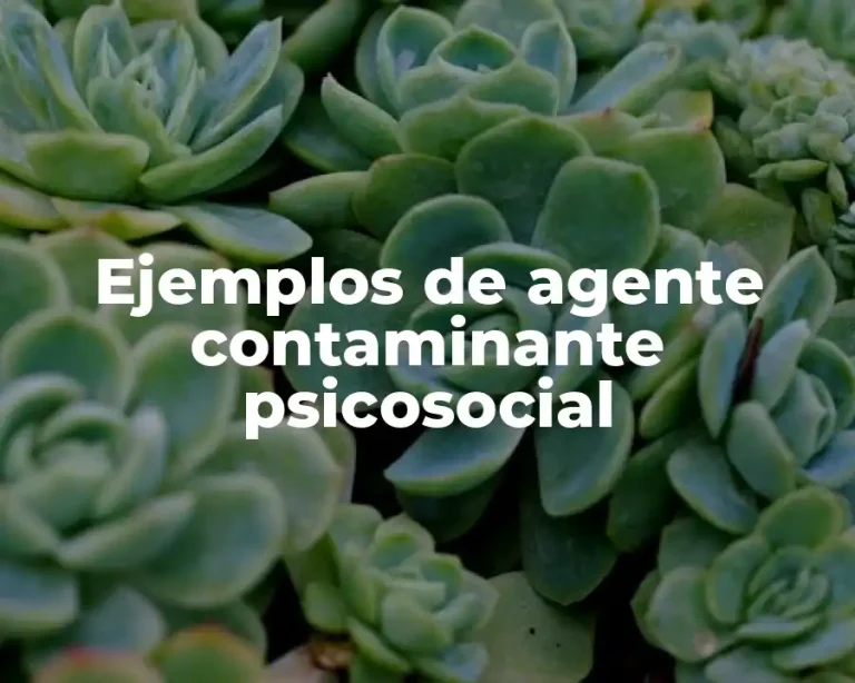 Ejemplos de agente contaminante psicosocial