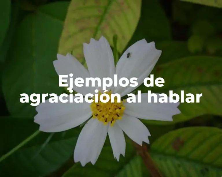Ejemplos de agraciación al hablar