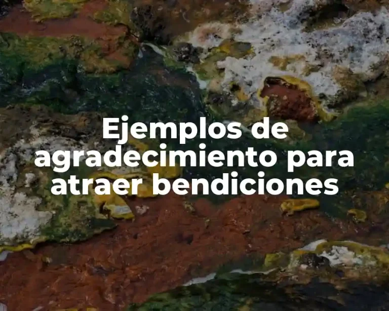 Ejemplos de agradecimiento para atraer bendiciones