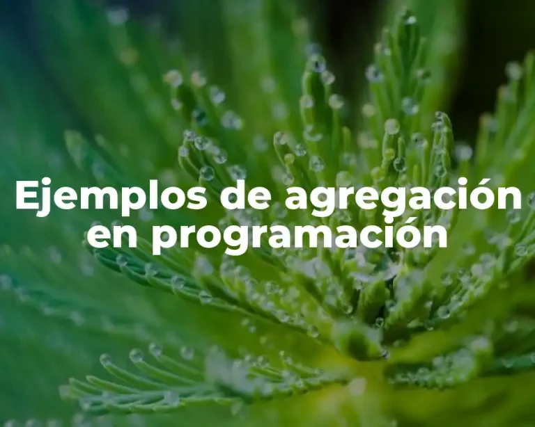Ejemplos de agregación en programación