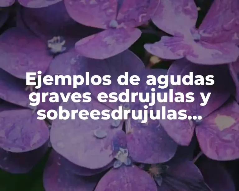 Ejemplos de agudas graves esdrujulas y sobreesdrujulas graficas