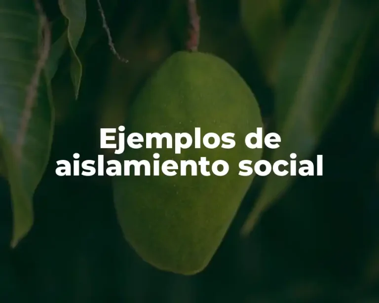Ejemplos de aislamiento social